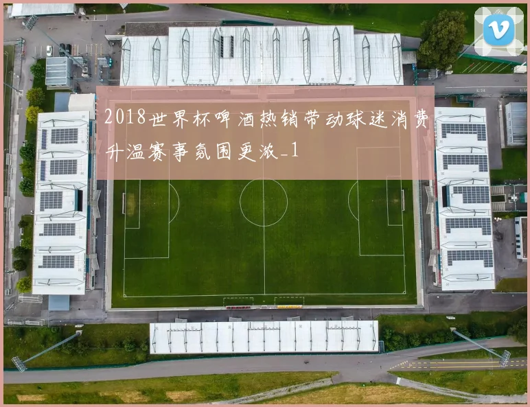 2018世界杯啤酒热销带动球迷消费升温赛事氛围更浓_1