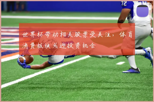 世界杯带动相关股票受关注，体育消费板块或迎投资机会