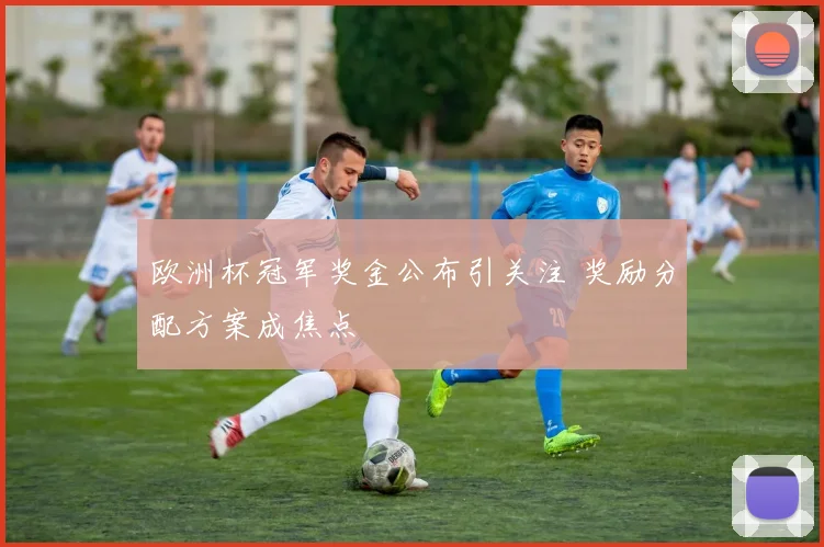 欧洲杯冠军奖金公布引关注 奖励分配方案成焦点