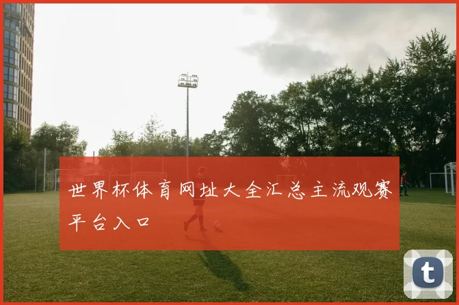 世界杯体育网址大全汇总主流观赛平台入口