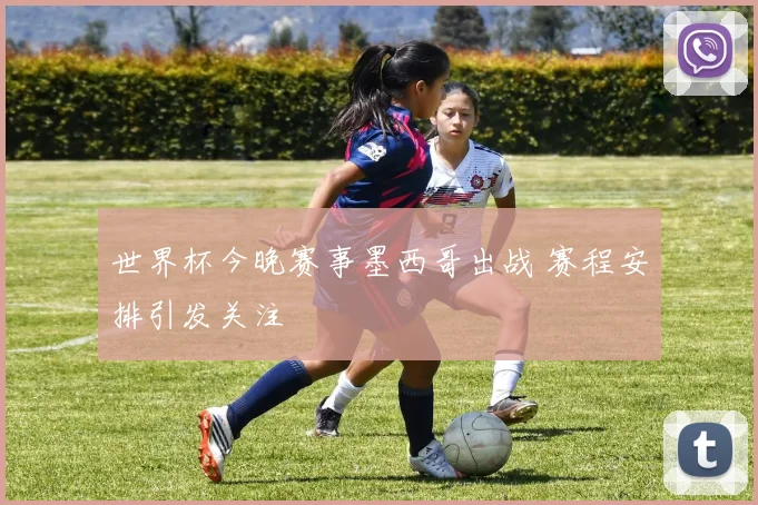 世界杯今晚赛事墨西哥出战 赛程安排引发关注