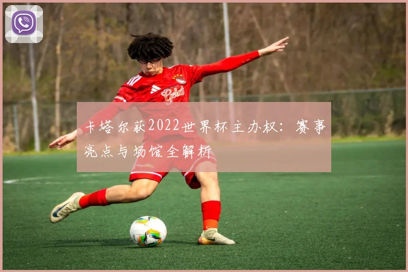 卡塔尔获2022世界杯主办权:赛事亮点与场馆全解析
